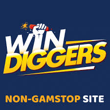 Win Diggers Casino Testimonial|Should You Play Here?